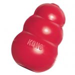 Kong chewable toy