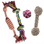 rope toy